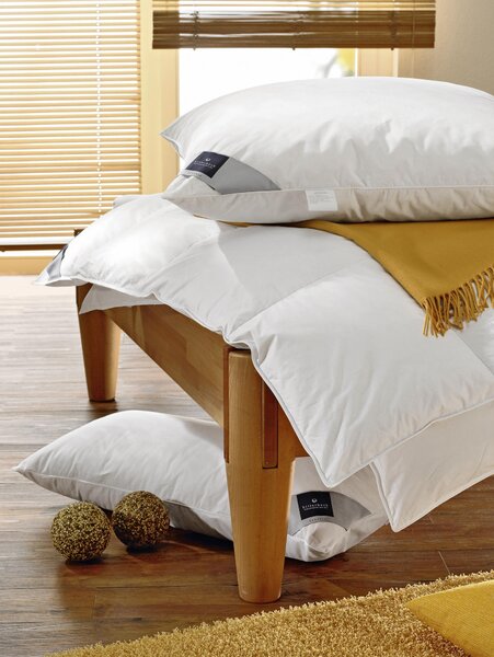 VANKÚŠ POD HLAVU, 40/80 cm Billerbeck - Prikrývky & vankúše, Online Only