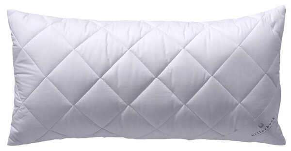 VANKÚŠ POD HLAVU, 40/80 cm Billerbeck - Prikrývky & vankúše, Online Only