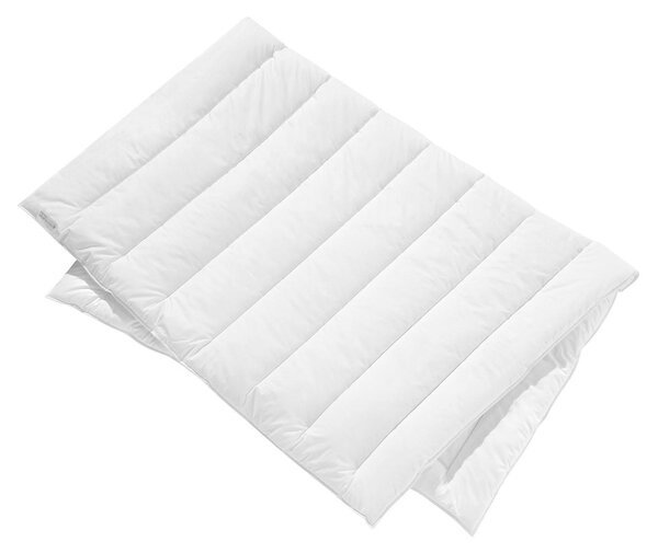 CELOROČNÁ PRIKRÝVKA, 155/220 cm, polyester Centa-Star - Prikrývky & vankúše, Online Only