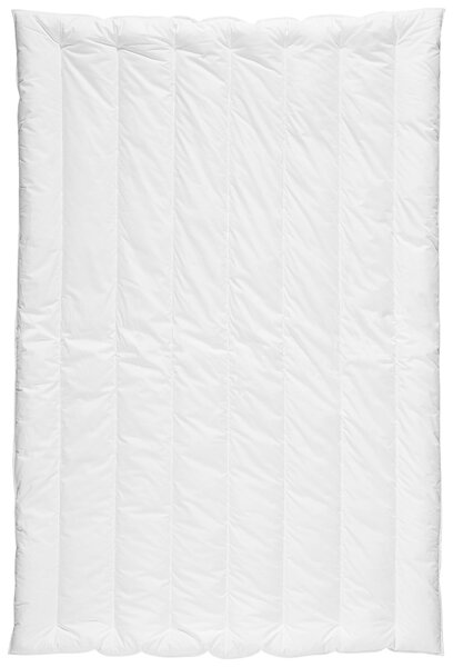 CELOROČNÁ PRIKRÝVKA, 135/200 cm, polyester Centa-Star - Prikrývky & vankúše, Online Only