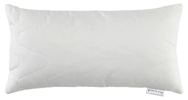 VANKÚŠ POD HLAVU, 40/80 cm Centa-Star - Prikrývky & vankúše, Online Only