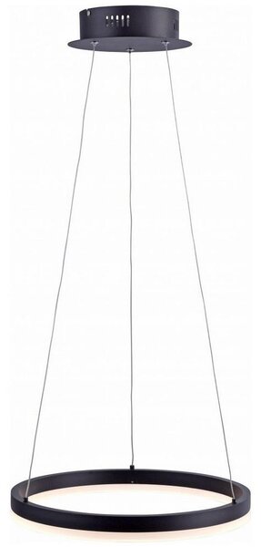 Paul Neuhaus Paul Neuhaus 2381-13 - LED Stmievateľný luster na lanku TITUS LED/28W/230V W2384 + záruka 3 roky zadarmo