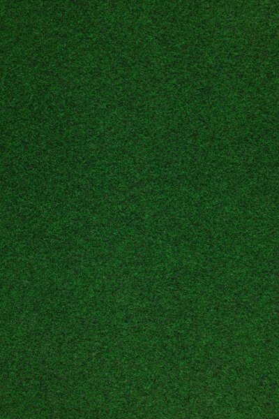 Umelá tráva Orotex Forest 6655