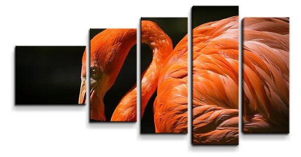 Sablio Obraz - 5-dílný Plameniak - 100x60 cm
