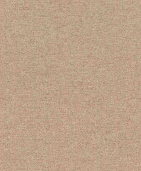 RASCH | Vliesová tapeta na stenu Schöner Wohnen 600339 | 0,53 x 10,05 m | hnedá