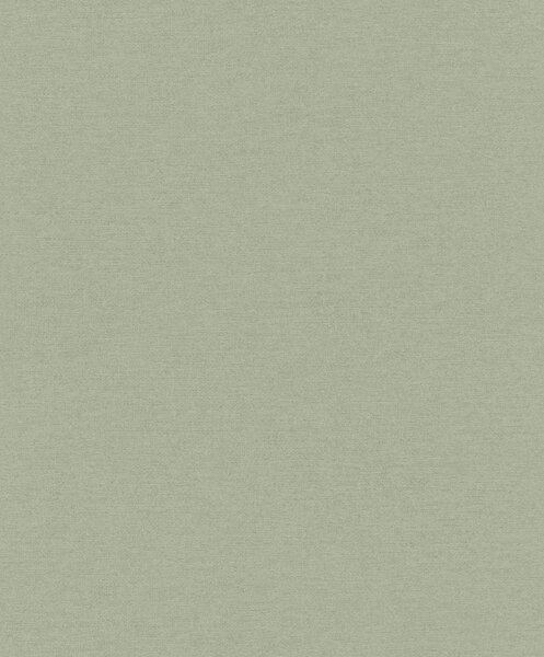 RASCH | Vliesová tapeta na stenu Schöner Wohnen 600285 | 0,53 x 10,05 m | zelená
