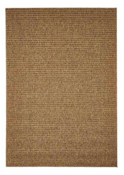 Hnedý vonkajší koberec Floorita Plain, 160 × 230 cm