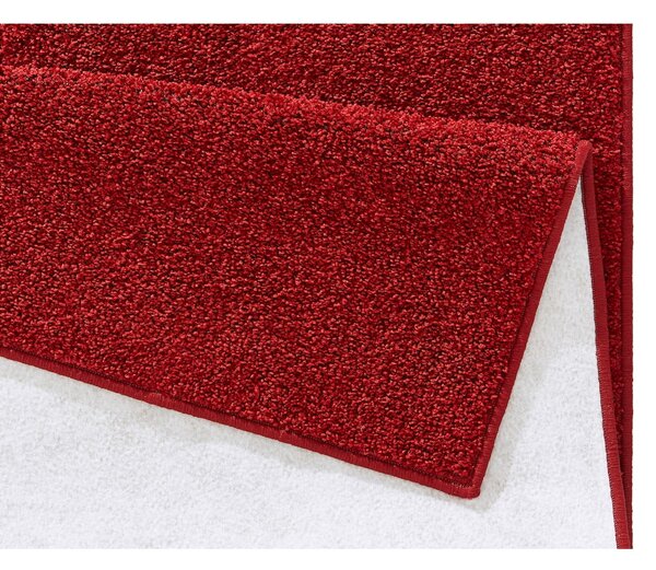 Červený koberec Hanse Home Pure, 160 x 240 cm