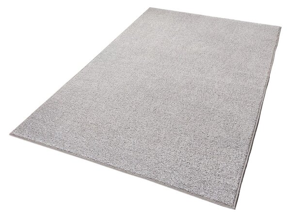 Svetlosivý koberec Hanse Home Pure, 160 x 240 cm
