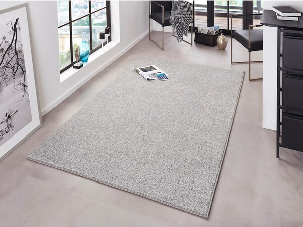 Svetlosivý koberec Hanse Home Pure, 160 x 240 cm