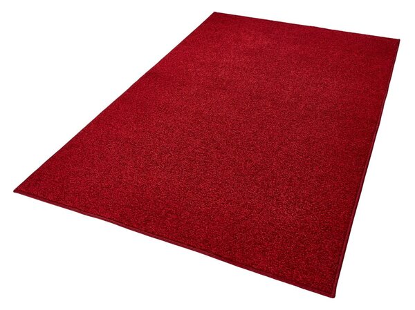 Červený koberec Hanse Home Pure, 160 x 240 cm