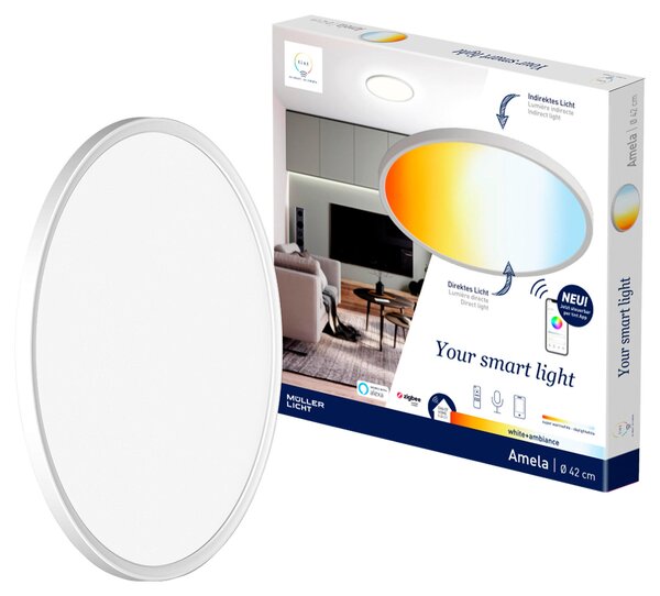 STROPNÉ SVIETIDLO, 30/2,9/30 cm Tint - Online Only bytové doplnky, Online Only