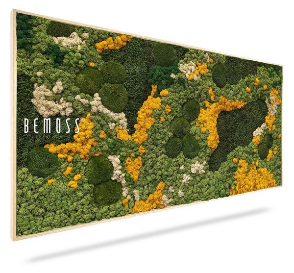 Machový obraz BEMOSS® ORTHO YELLOW - 40 x 40 cm