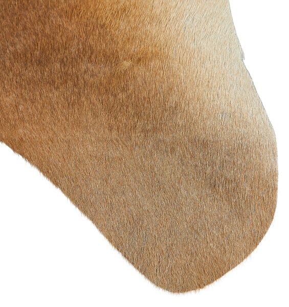 HOVÄDZIA KOŽUŠINA, 160/250 cm, hnedá Linea Natura - Online Only bytové doplnky, Online Only