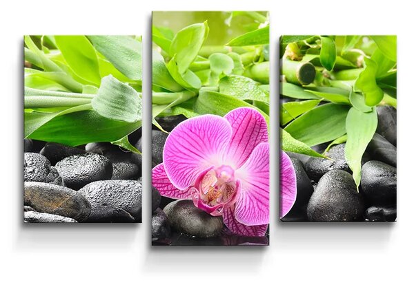 Sablio Obraz - 3-dílný Ružová Orchidea - 75x50 cm