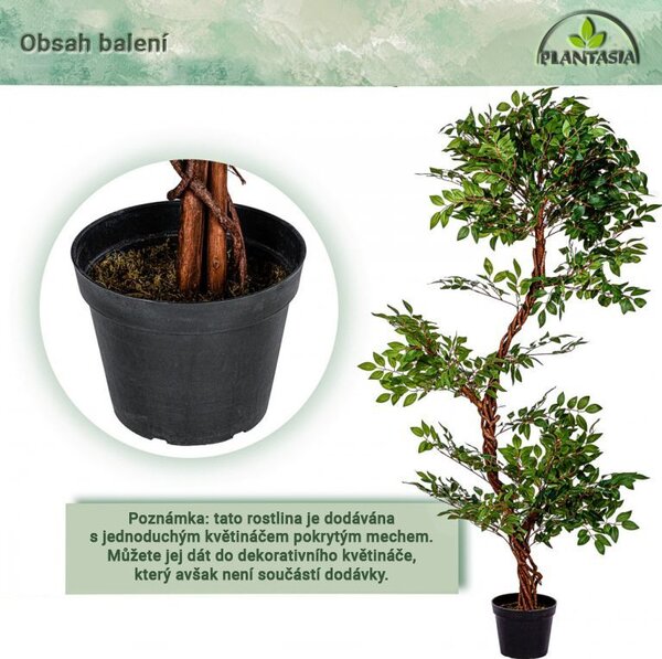 PLANTASIA Umelý strom jerlín, 160 cm