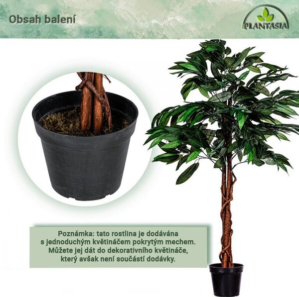 PLANTASIA Umelý strom mangovník, 120 cm