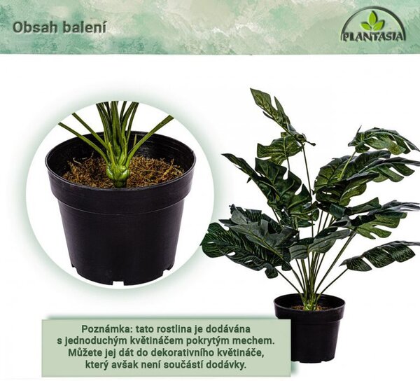PLANTASIA Umelá rastlina monstera, 60 cm