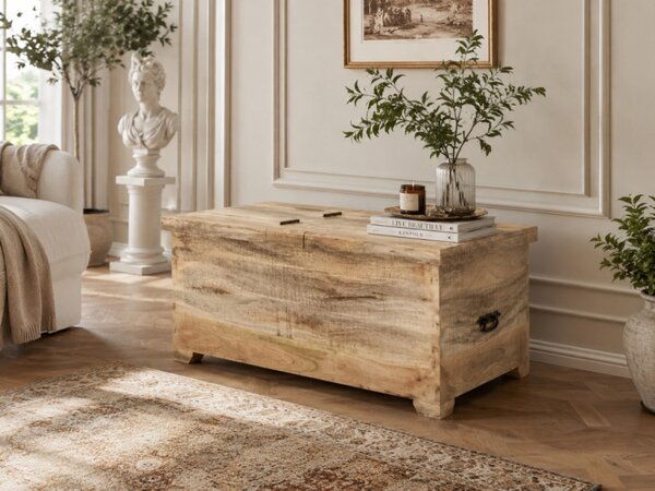 Truhlica Retro 90x45x45 indický masív mango