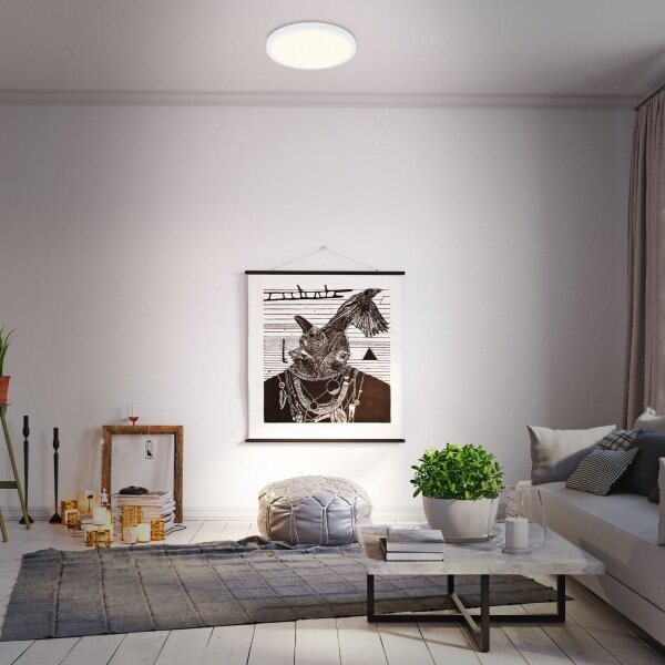 Briloner 3704-016 - LED Stmievateľné stropné svietidlo RUNA LED/22W/230V biela + DO