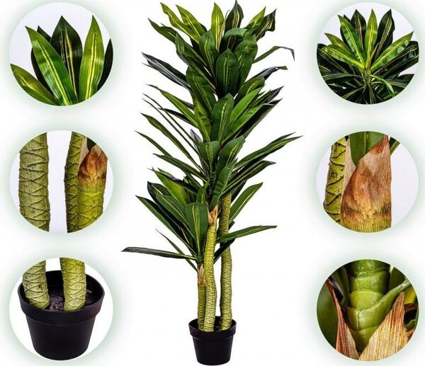 PLANTASIA umelý strom Dracaena 120 cm, 81 listov