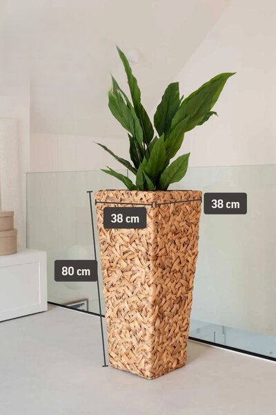 Kvetináč WILD, vodný hyacint, výška 80 cm, natur
