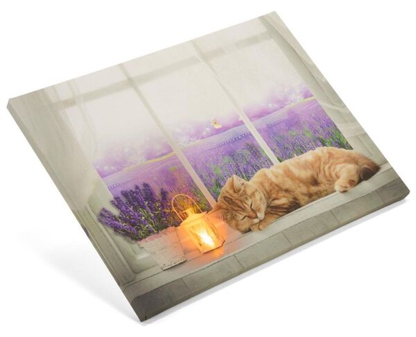 Nástenná maľba mačka na okne, 1 LED, 30 x 40 cm