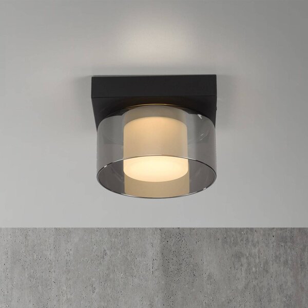 Paul Neuhaus LED stropné svietidlo Rika, Ø 15 cm, sklo, stmievateľné, Čierna, Obývacia izba / jedáleň, Sklo, Moderný, Stropné svetlo