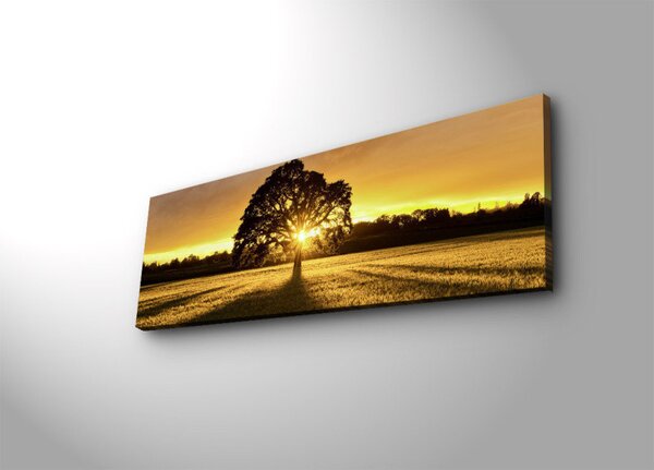 (3720) SUNSET nástenná maľba na plátne LED
