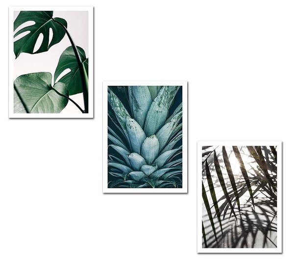(3715) PLANTS nástenný obraz MDF (3 kusy)
