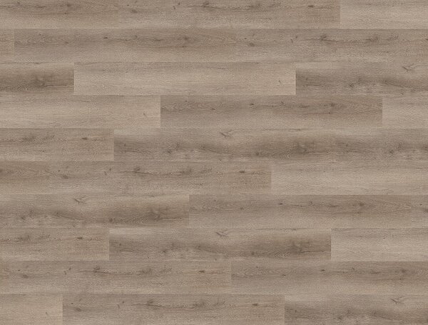 FLOOR FOREVER XL Dub kartáčovaný šedý 79985 - 4.18 m2
