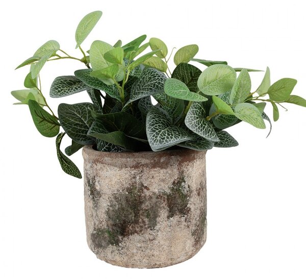 Dekoratívny béžovo-zelený antik terakotový kvetináč Teracci M - Ø 14*12 cm - Clayre & Eef