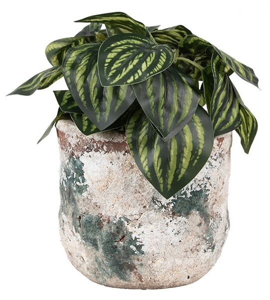 Dekoratívny béžovo-zelený antik terakotový kvetináč Teracci M - Ø 14*12 cm - Clayre & Eef