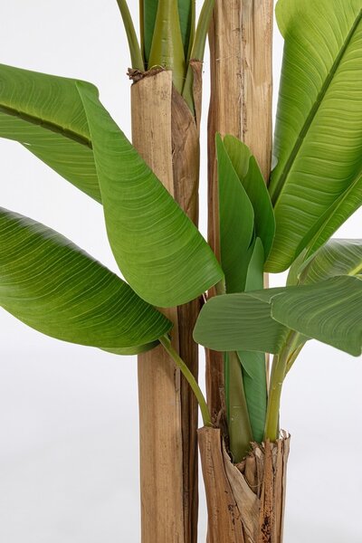 BANANA umelá rastlina V280cm