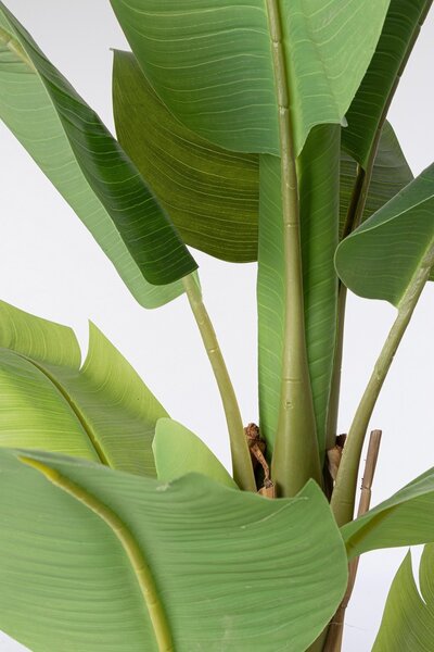 BANANA umelá rastlina V150cm
