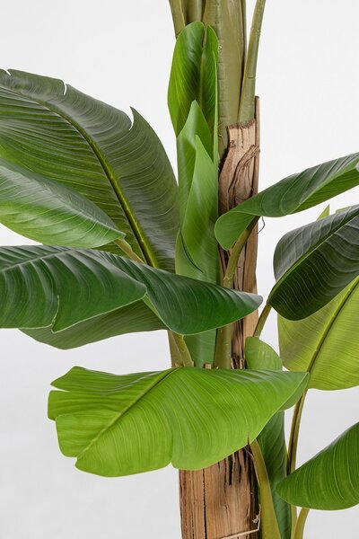 BANANA umelá rastlina V200cm