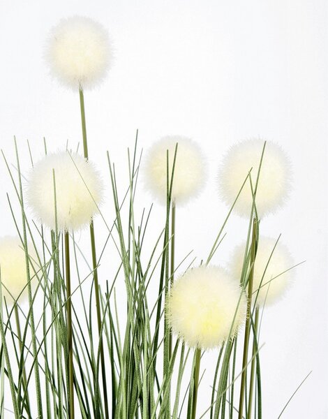 ERIOPHORUM umelá rastlina V68cm