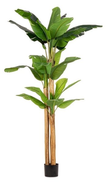 BANANA umelá rastlina V280cm