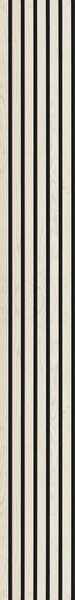 AKUSTICKÝ PANEL 250/30/1.1 cm - Dekorácie na stenu