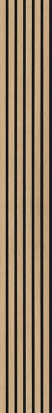 AKUSTICKÝ PANEL 250/30/1.1 cm - Dekorácie na stenu