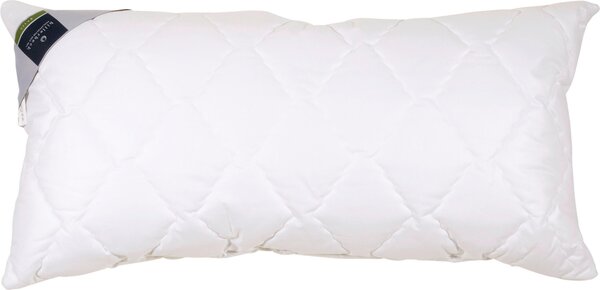VANKÚŠ POD HLAVU, 40/80 cm Billerbeck - Prikrývky & vankúše