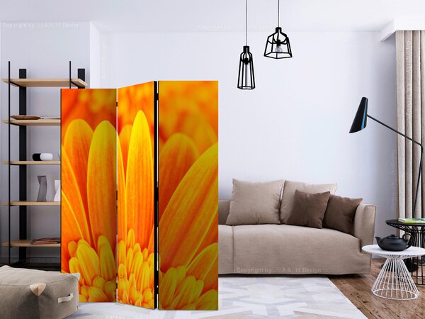 OBOJSTRANNÝ PARAVÁN, 135/172/3 cm artgeist - Predsieňové programy, Online Only