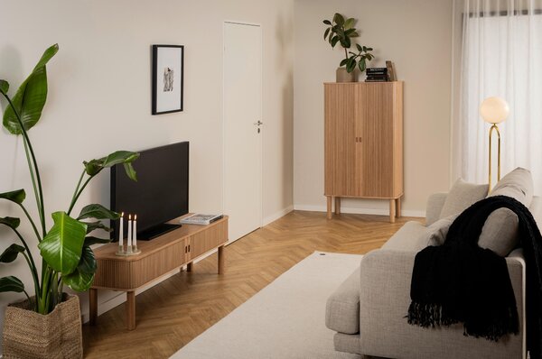 SKRINKA POD TV, farba duba, 140/45/40 cm - Online Only drobný nábytok, Online Only