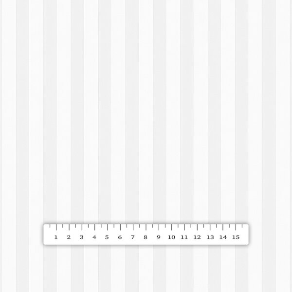 Biante Damašková obliečka na vankúš s lemom Atlas Grádl DM-010 Biela - pásiky 1 cm 30 x 50 cm