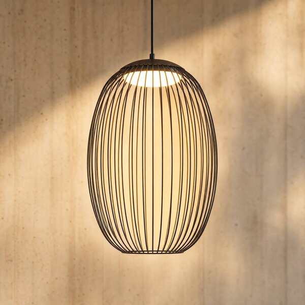 Vonkajšie závesné LED svietidlo Lucande Richi, čierne, 40 cm, stmievateľné, Čierna, kov, Moderný, Závesné svietidlo