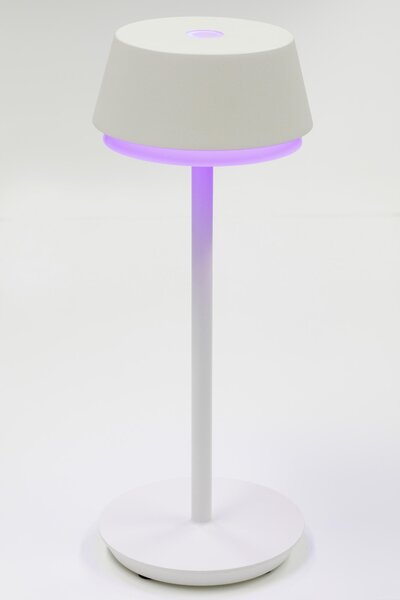 STOLNÁ LED LAMPA, dotykový stmievač, 12/30 cm Dieter Knoll - Online Only bytové doplnky, Online Only