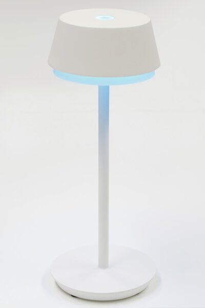 STOLNÁ LED LAMPA, dotykový stmievač, 12/30 cm Dieter Knoll - Online Only bytové doplnky, Online Only