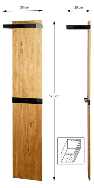 NÁSTENNÝ VEŠIAK, 35/175/25 cm - Online Only drobný nábytok, Online Only