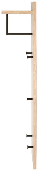VEŠIAKOVÝ PANEL, čierna, farba duba, 30/100/20 cm - Vešiakové steny, Online Only