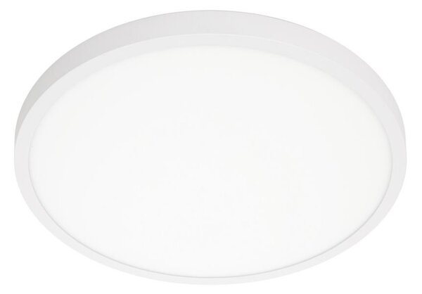 Italux ITALUX PLF-7001-400R-WH-4K - LED Stropné svietidlo PELARO LED/30W/230V 4000K biela IT0596 + záruka 3 roky zadarmo